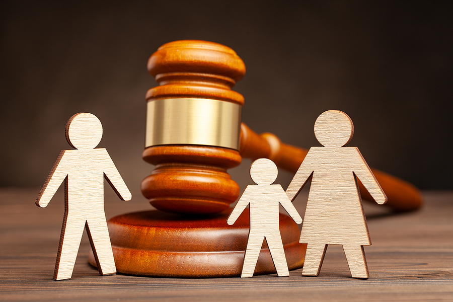 concept of sole custody